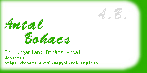 antal bohacs business card